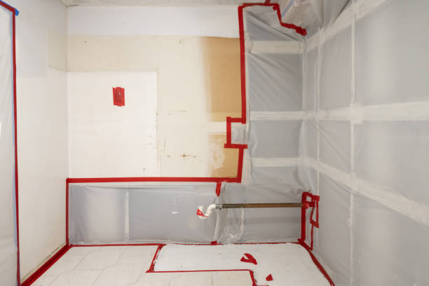 Mold Removal for HVAC Installations in South Bradenton, FL