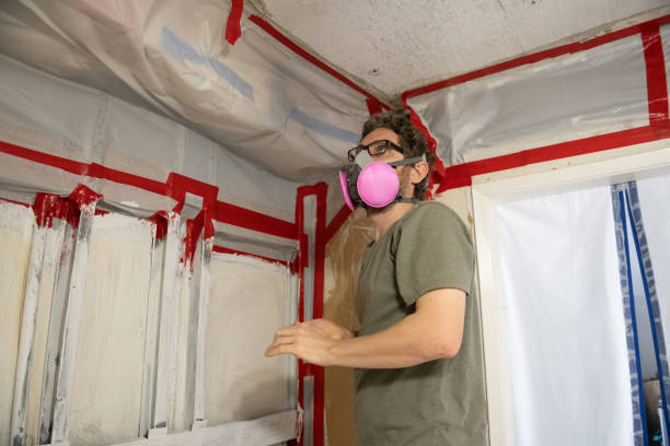 South Bradenton, FL Mold Removal Company