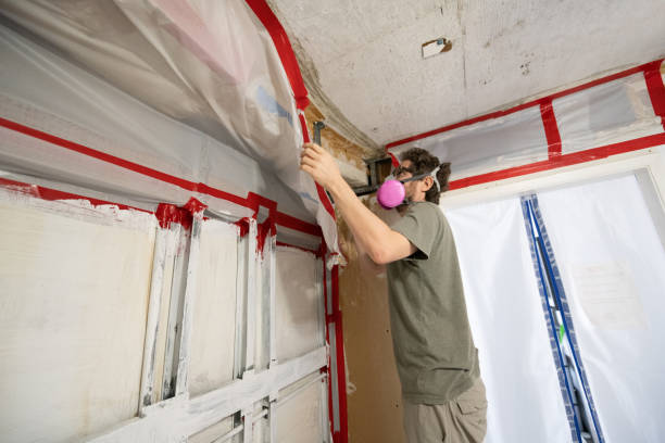 Best Mold Prevention Services  in South Bradenton, FL