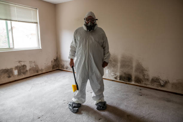 Best Crawl Space Mold Remediation  in South Bradenton, FL